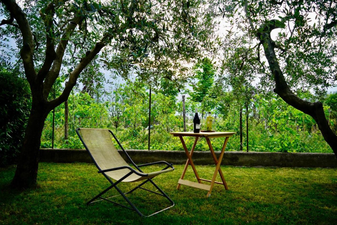 Lake & Rest Ρίβα ντελ Γκάρντα Εξωτερικό φωτογραφία